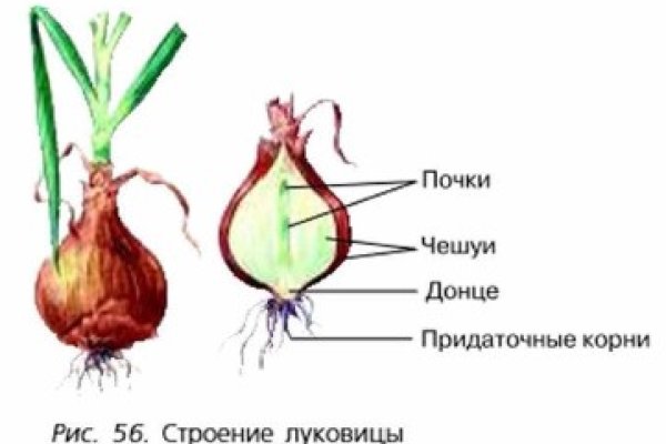 Ссылка на кракен в тор браузере